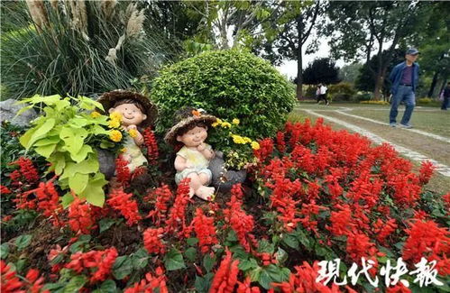 来醉美花园,赴一场秋的盛宴
