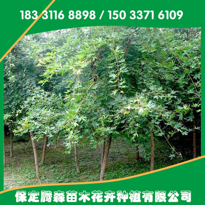 产品供应