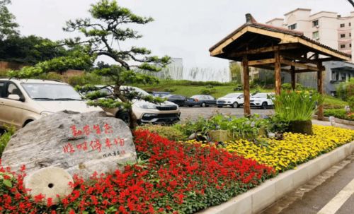 正月十四丨去璧山丁家过 历山汉族火把节
